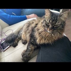 Meet your Posher, Audrey